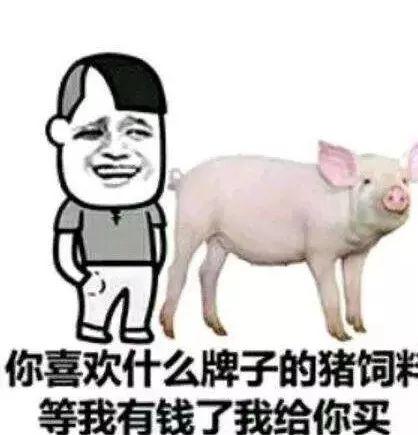 吃瓜网红小胖猪图片,网红美食新风尚  第2张